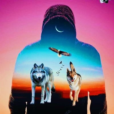 Pr1nceOfWolves's profile picture