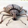 madbugmadbugmadbugmadbug madbugmadbugmadbugmadbug_'s profile picture
