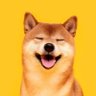 Hrishikesh Sharma's profile picture