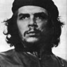 esam shaheen 的头像