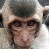 mkumbo's profile picture