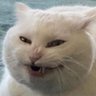 Profilbild von jim