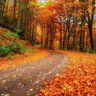 Mohammed br. 🇩🇿🇩🇿 profil fotoğrafı