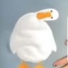 KitFisto profil fotoğrafı