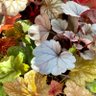 Фото профиля うらと