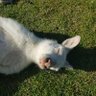 Penny's profile picture