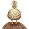 🦆🦆…もちもちかるがも's profile picture