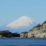 Фото профиля D Uehara