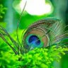 satish nishad's profile picture