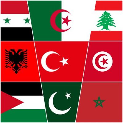 RefugeFetcum's profile picture