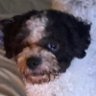 Profilbild von Ben