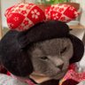 masa's profile picture