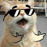 Profilbild von Riff