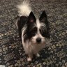 Magdelyn McAndrew's profile picture