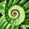 L C's profile picture