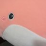 Gareth Whale 的头像