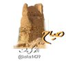 صياح الذكريات 的头像