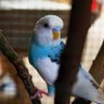 JustMe profil fotoğrafı