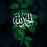 Фото профиля سفينه وقارب