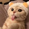 Kim_mejikom profil fotoğrafı