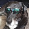 Profilbild von Unca