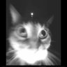 Profilbild von Whatishappening