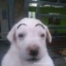 Raancesito's profile picture