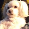 Profilbild von Susi