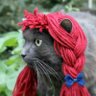 Profilbild von Itsa Kittyting