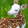 Jaber's profile picture