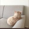 Фото профиля Nikneymm