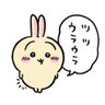 ぴぴぴ's profile picture