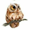 Profilbild von Owl