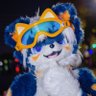 Profilbild von Moky