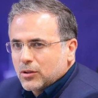 taghaddosi_n_a's profile picture