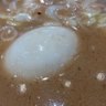 大人の動画屋's profile picture