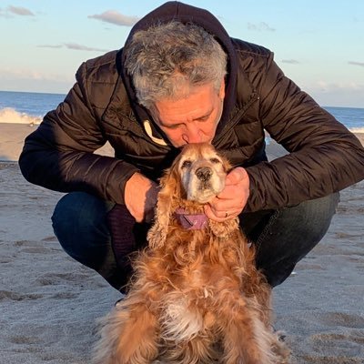 DSantaCruzok's profile picture