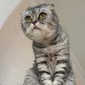 Фото профиля Mehmet