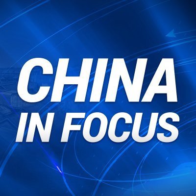 ChinaInFocusNTD's profile picture