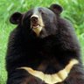 huckebein03's profile picture