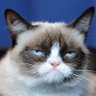 Chloe profil fotoğrafı