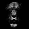 berl's profile picture