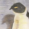 Sarcophilus Boi 的头像
