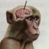 Profilbild von Carlisp