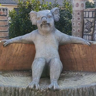 shizuooo___'s profile picture
