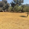 Nkosi Bukhosi profil fotoğrafı
