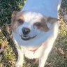 Johnny Cannup 的头像