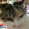 Profilbild von 子子子