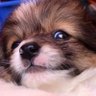 otcc's profile picture