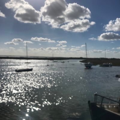 robster12065612's profile picture